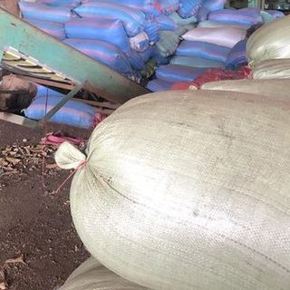 Phân Phối Vỏ lụa hạt điều