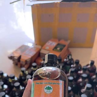 Thảo Mộc Dược Liệu Diệu Phương