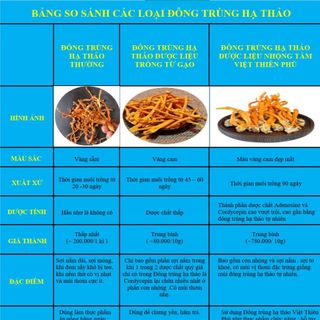 BÁN HÀNG 0 ĐỒNG CÙNG ĐÔNG TRÙNG HẠ THẢO VIỆT THIÊN PHÚ