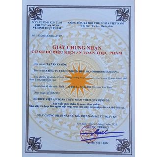 Trà Ô long Sâm Dây Ngọc Linh túi lọc thơm ngon 30g