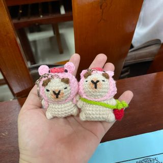 Capybara đang hot đây ạ