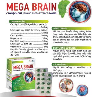 Viên Uống Bổ Não MEGA BRAIN Giúp Giảm Đau Đầu, Hoa Mắt, Mất Ngủ, Chóng Mặt, Rối Loạn Tiền Đình Hộp 100 Viên - DƯỢC PHẨM AVIPHAR