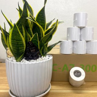 Giấy in nhiệt A7 (CA7-300)-(75*100) giá sỉ - giá bán buôn