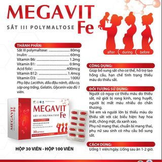 Viên Uống Bổ Sung Sắt MEGAVIT FE - DƯỢC PHẨM AVIPHAR