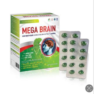 Viên Uống Bổ Não MEGA BRAIN Giúp Giảm Đau Đầu, Hoa Mắt, Mất Ngủ, Chóng Mặt, Rối Loạn Tiền Đình Hộp 100 Viên - DƯỢC PHẨM AVIPHAR giá sỉ