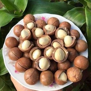 MACCA HŨ 500GR, kho chuyên sỉ giá tốt