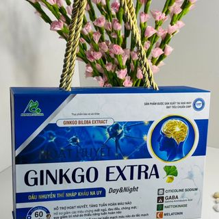 Hoạt Huyết Dưỡng Não GINKO EXTRA DAY & NIGHT Hổ Trợ Hoạt Huyết , Tăng Cường Tuần Hoàn Não, Giảm Mất Ngủ Đau Đầu Chóng Mặt Hộp 60 Viên