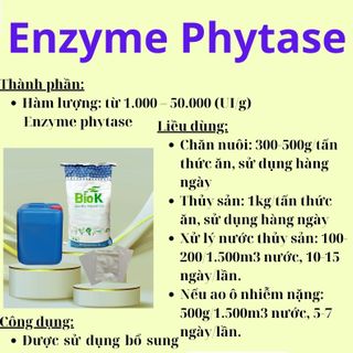 Enzyme Phytase (dùng trong thú y và thủy sản) giá sỉ
