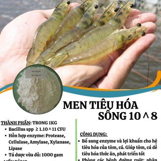 MEN TIÊU HÓA SỐNG 10^8 CFU/GAM chuyên dùng cho Thủy Sản giá sỉ