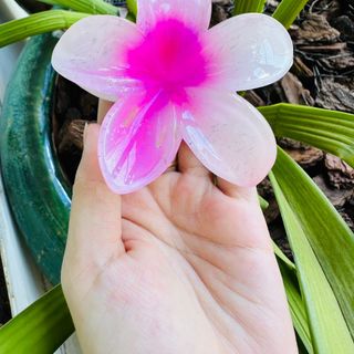 Kẹp Hoa Sứ Hottrend hàng cao cấp 8CM