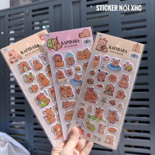 Sticker capy nổi XHC