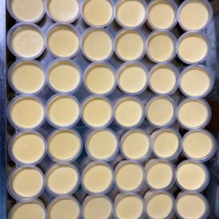 Bánh flan bỏ sỉ TP.HCM
