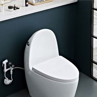 Bồn cầu trứng 1 khối cao cấp men chống trấy xước mã T138T