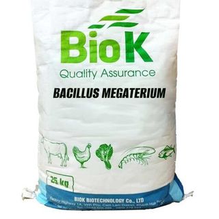 Bacillus Megaterium Bổ sung vi khuẩn có lợi vào khẩu phần thức ăn vật nuôi  Xử lý đáy ao nuôi thủy sản