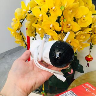 Camera IP Wifi Bullet C1 2MP Smart Dual Light DAHUA DH-F2C-PV