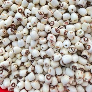 Cung cấp Hạt sen khô (Lotus seed)