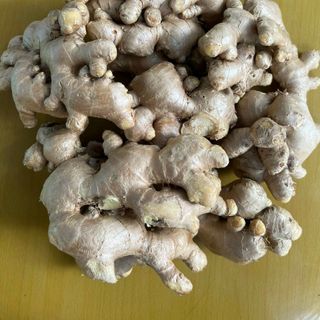 GỪNG TƯƠI RỬA SẠCH / CHƯA RỬA (GỪNG SẺ LAI, GỪNG TRÂU)