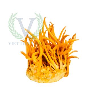 BÁN HÀNG 0 CẦN VỐN