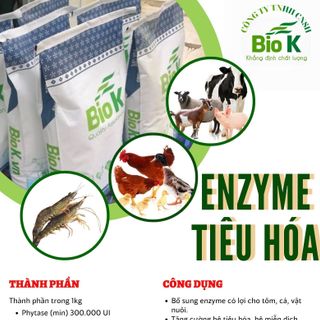 ENZYME TIÊU HÓA (DÙNG CHO THÚ Y-THỦY SẢN) BIOK giá sỉ