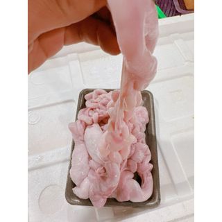 Dồi trường Tơ heo nóng cấp đông khay 1kg (giao tphcm)