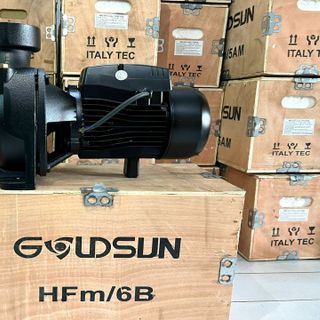 MÁY BƠM NƯỚC LƯU LƯỢNG GOLDSUN