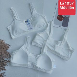 AL1057 - AO LA LIENMUT
