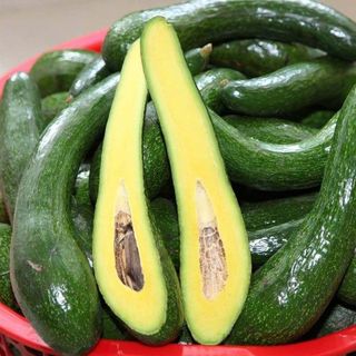 Chuyên Sỉ lẻ BƠ 034 DAK LAK (Nhà vườn)