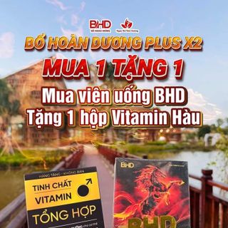 Combo Hộp 50 viên Bổ Hoàn Dương Plus X2 tặng Hộp 50 viên Vitamin Hàu Biển giá sỉ