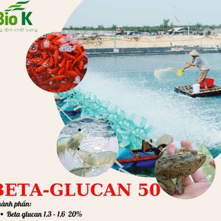 BETAGLUCAN-50 hạt chất sinh học kích thích miễn dịch BAO 5kg giá sỉ