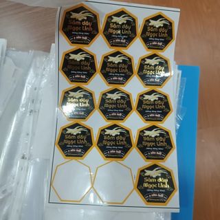 Sâm dây Ngọc Linh tươi, Mua Sâm dây Ngọc Linh (hồng đẳng sâm Ngọc Linh)