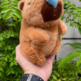 Gấu bông capybara chảy mũi 23cm giá sỉ