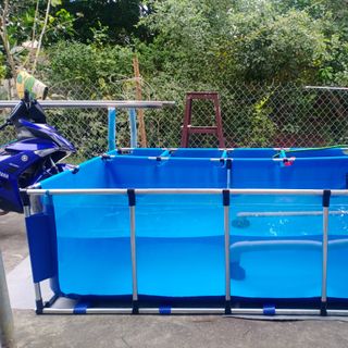 Bể nuôi cá Koi Trong Suốt - thương hiệu Mai Sơn
