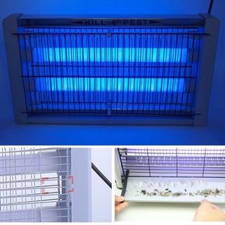 ĐÈN BẮT MUỖI KILL PEST LED 40W
