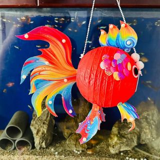 🥰🥰🥰Đèn Lồng Trung Thu, Lồng Đèn Giấy Hình Cá Chép Phát Sáng Đèn Lồng Cá Koi VÂY CẦU VỒNG Mang Lại May Mắn Đèn Lễ Hội Trang Trí Độc Đáo🥰🥰🥰