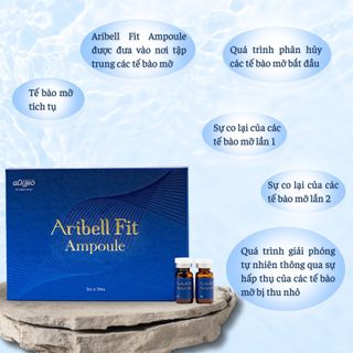 TAN MỠ ARIBELL FIT KOREA