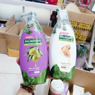 Gội Palmolive vòi - Chính hãng giá sỉ