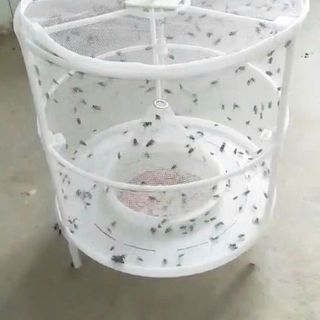 Lồng bẫy ruồi không hoá chất không gây nguy hại