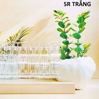 LỐ 12 KẸP CÀNG CUA 5R MIX MẪU
