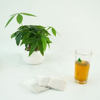 Trà cà gai leo túi lọc SADU,thanh nhiệt, giải độc, mát gan