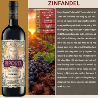 Giới Thiệu Rượu Vang Riporta - Zinfandel giá sỉ