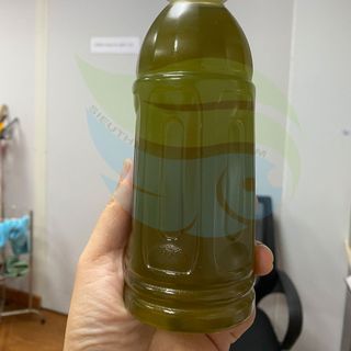Nước mía cô đặc
