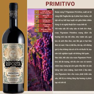 Riporta Primitivo