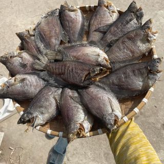 KHÔ CÁ SẶC TO ƯỚP MẶN 500G - VỰA KHÔ BẾN TRE