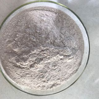 MEN VI SINH ENTEROCOCCUS FAECIUM