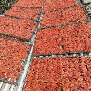 KHÔ CÁ LINH TẨM VỊ 500G - VỰA KHÔ BẾN TRE