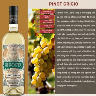 Riporta Pinot Grigio Sicily