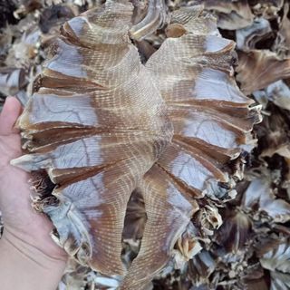 KHÔ CÁ ĐUỐI NẺ KHÔNG TẨM VỊ 500G - VỰA KHÔ BẾN TRE