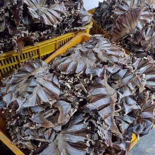 KHÔ CÁ ĐUỐI NẺ KHÔNG TẨM VỊ 500G - VỰA KHÔ BẾN TRE