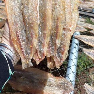 KHÔ CÁ MỐI XẺ ƯỚP VỊ VỪA ĂN 1KG - VỰA KHÔ BẾN TRE