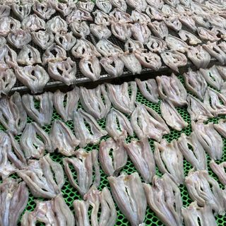 KHÔ CÁ LÓC ƯỚP MẶN VỪA ĂN 500G - VỰA KHÔ BẾN TRE